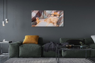 Acrylic print The reader cat