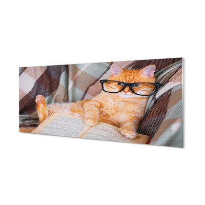 Acrylic print The reader cat