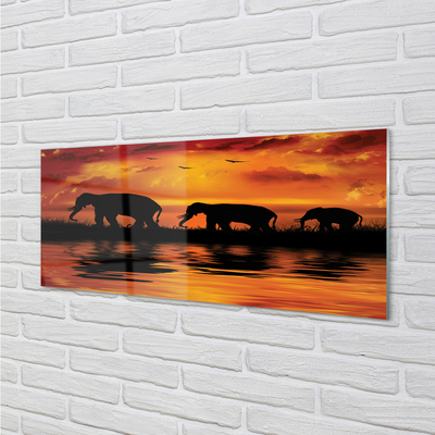 Acrylic print Westlake elephants