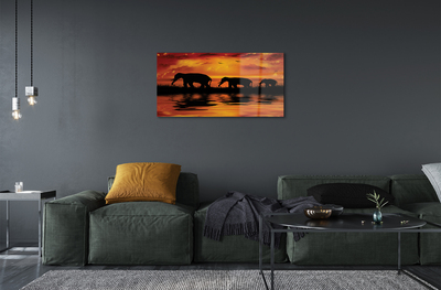 Acrylic print Westlake elephants