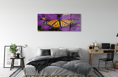 Acrylic print Flowers colorful butterfly