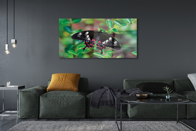 Acrylic print Leaves colored butterfly