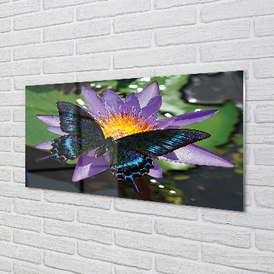 Acrylic print Butterfly flower