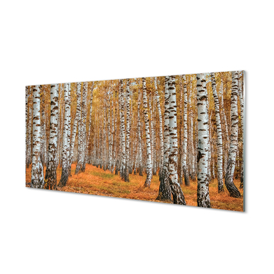 Acrylic print Fall trees