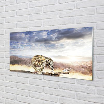 Acrylic print Panther clouds