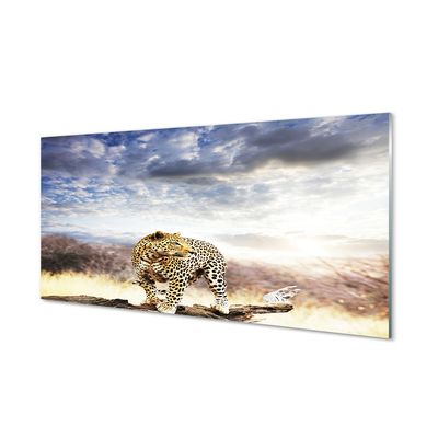 Acrylic print Panther clouds