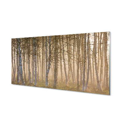 Acrylic print Forest sunrise