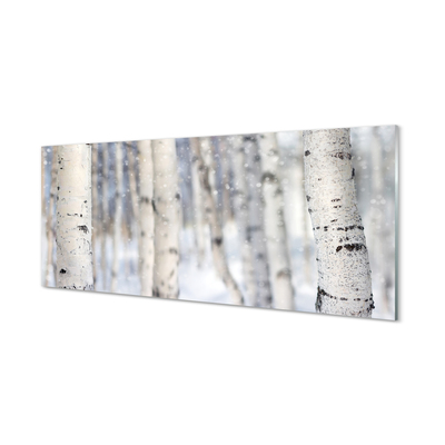 Acrylic print Winter trees in snow