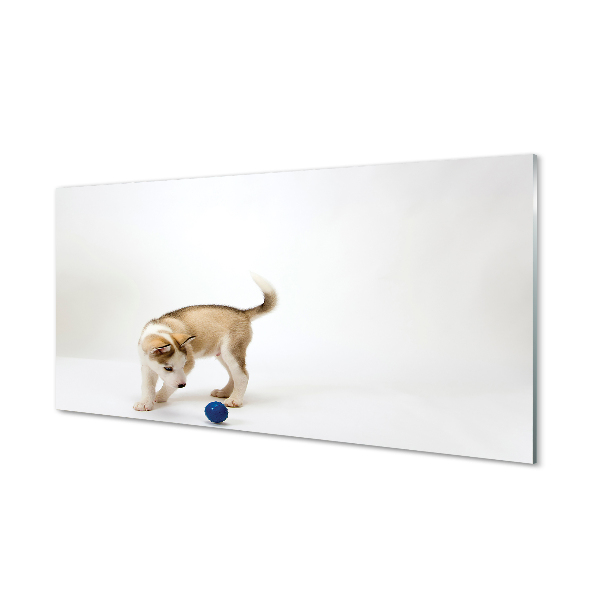 Acrylic print Play with the dog
