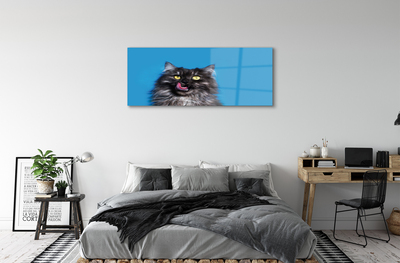 Acrylic print Oblizujący cat
