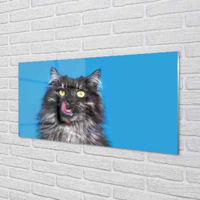 Acrylic print Oblizujący cat