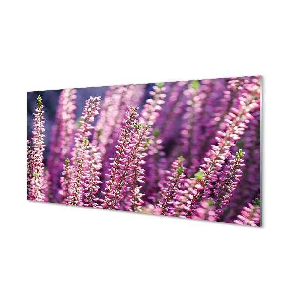 Acrylic print Flowers