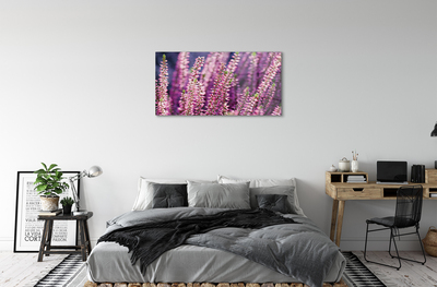 Acrylic print Flowers