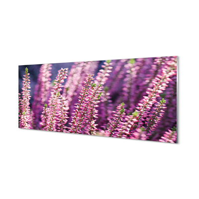 Acrylic print Flowers