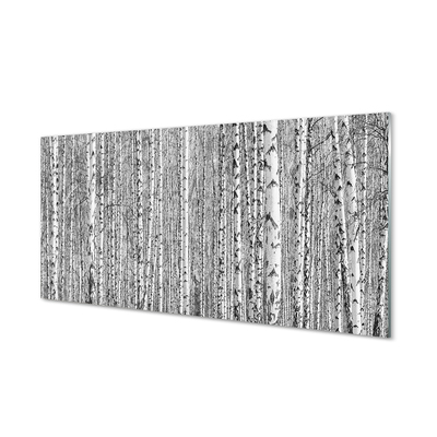 Acrylic print Black and white forest