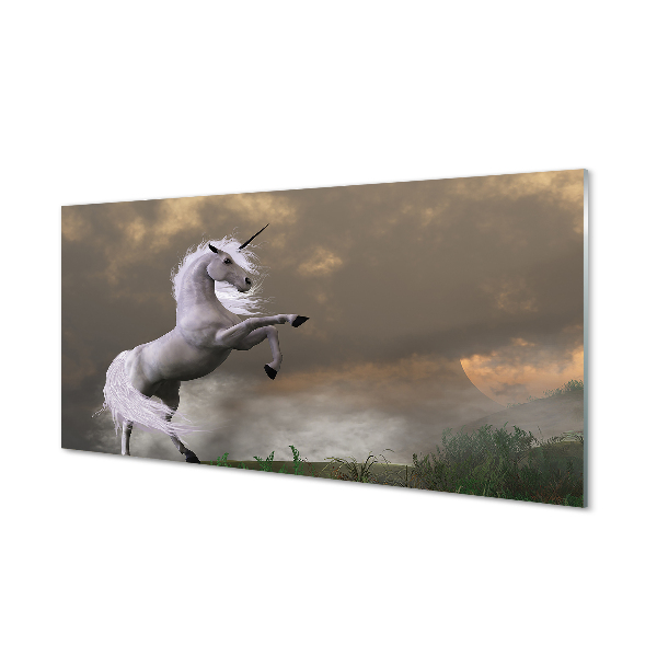 Acrylic print Top unicorn