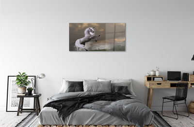 Acrylic print Top unicorn