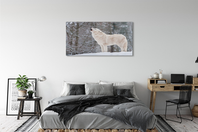 Acrylic print Loup winter forest