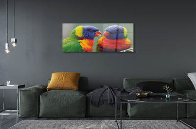 Acrylic print Colorful parrot