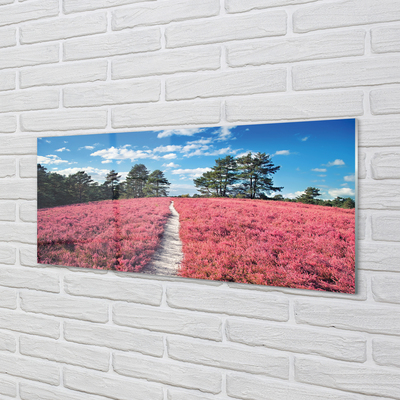 Acrylic print Forest heathland