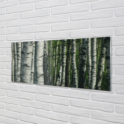Acrylic print Birch forest