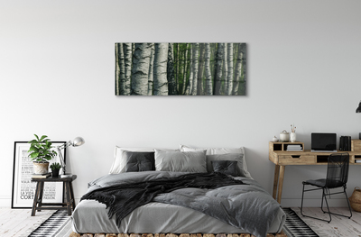 Acrylic print Birch forest