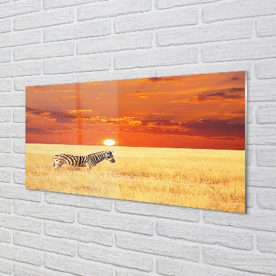 Acrylic print Zebra sunset field
