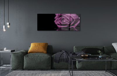 Acrylic print Pink purple