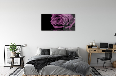 Acrylic print Pink purple