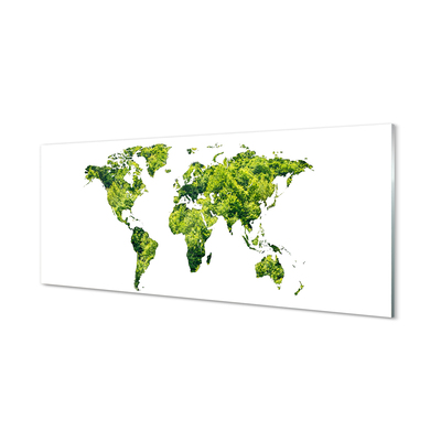 Acrylic print Green grass card