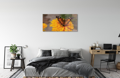 Acrylic print Butterfly colored flowers