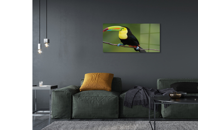 Acrylic print Parrot on a branch colored