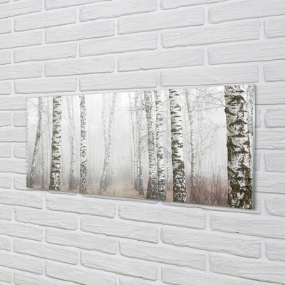 Acrylic print Birch fog