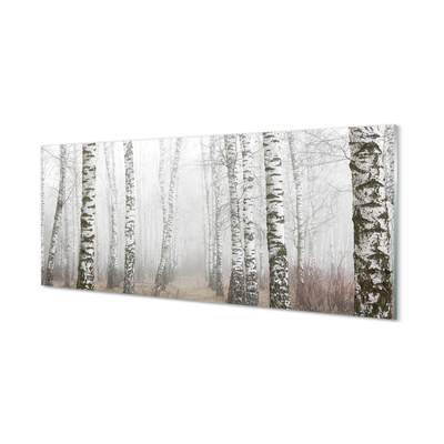 Acrylic print Birch fog