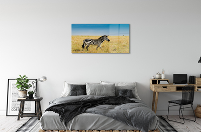 Acrylic print Zebra box