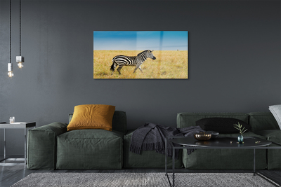 Acrylic print Zebra box