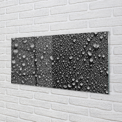 Acrylic print Water drops macro