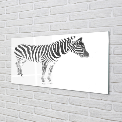 Acrylic print Painted zebra