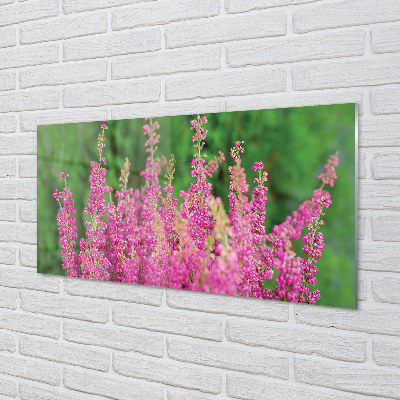 Acrylic print Heather flowers