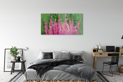 Acrylic print Heather flowers