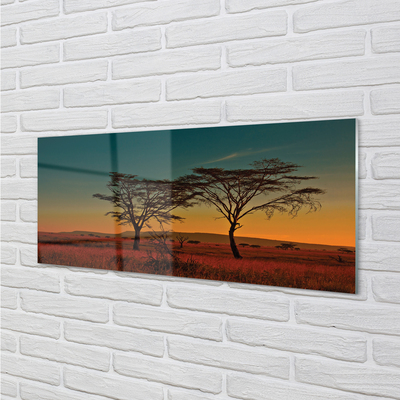 Acrylic print Sky tree
