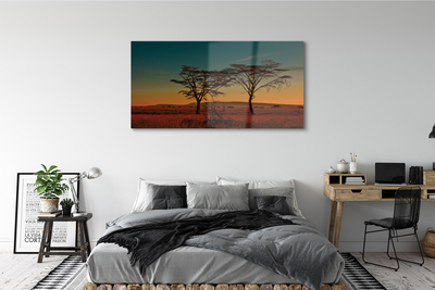 Acrylic print Sky tree