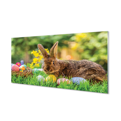 Acrylic print Meadow rabbit eggs