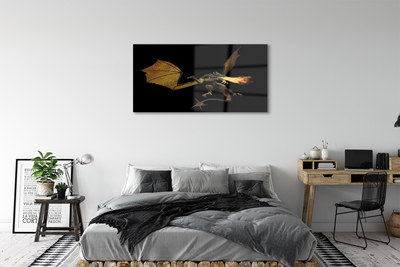 Acrylic print Fire-breathing dragon