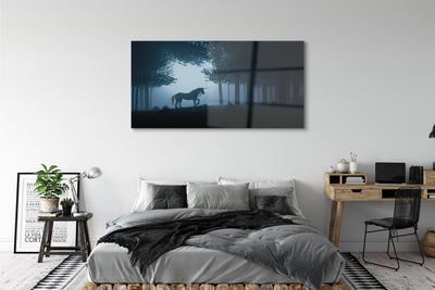 Acrylic print Las unicorn night