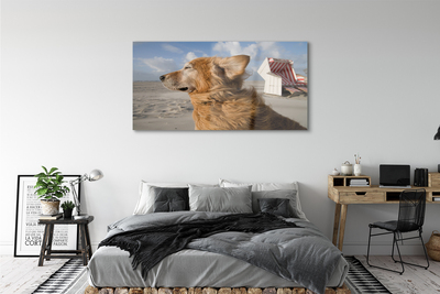 Acrylic print Brown dog beach