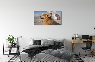 Acrylic print Brown dog beach
