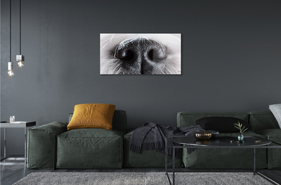 Acrylic print Hundenase