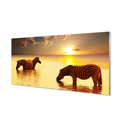 Acrylic print Sunset water zebras