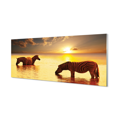 Acrylic print Sunset water zebras